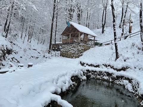 Рибалка: "Дикий Ліс" в Яремче | Риболовля/проживання/відпочинок