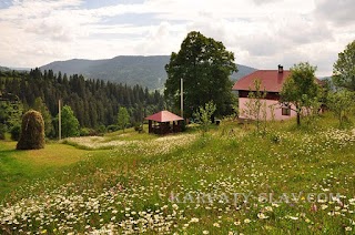 Cottage "Babusyn Dvir"