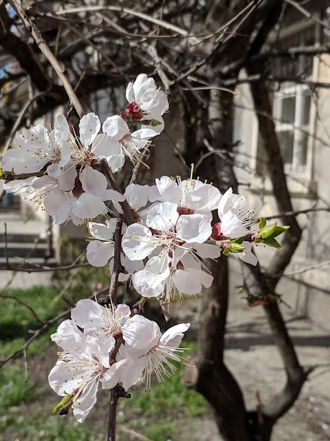 Салон красоты JOY of beauty