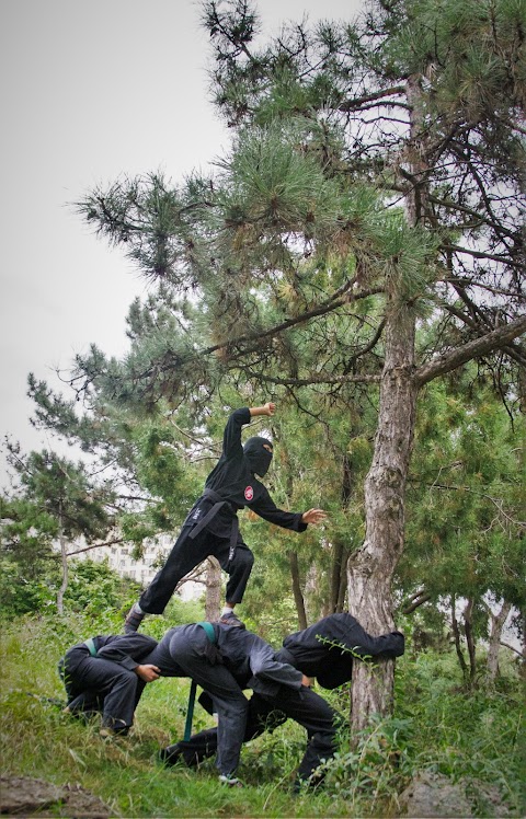 Bujinkan Minabushi Dojo