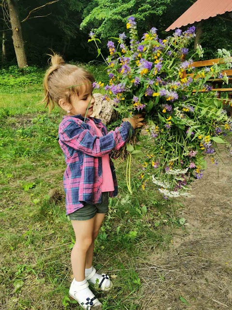 Мальовничі Грабники