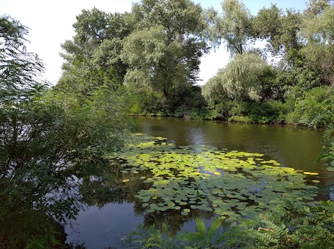 Зона відпочинку