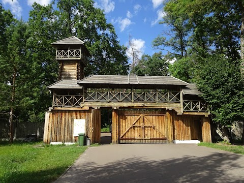 Дитячий оздоровчий центр "Дахнівська Січ"