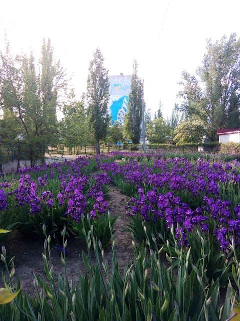 Херсонський навчально-виховний комплекс - загальноосвітня школа І-ІІІ ступенів №9