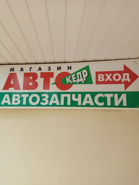 Авто Кедр