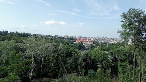 Національний інститут серцево-судинної хірургії імeні М.М.Амосова