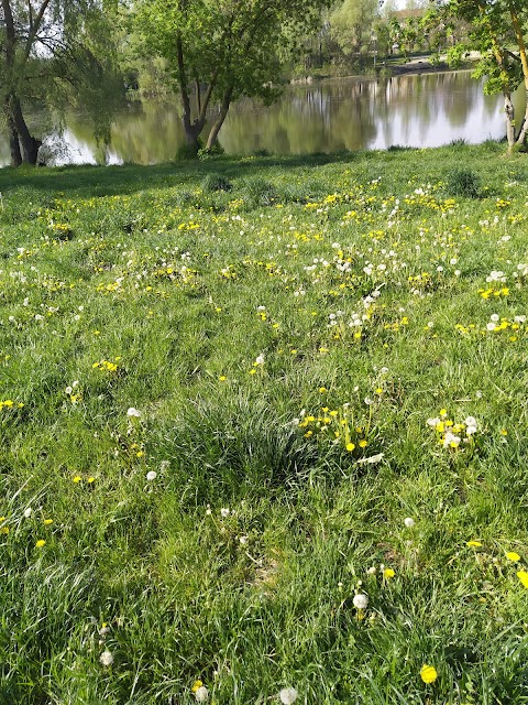 Белогородское озеро