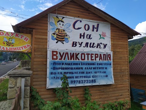 Продукти бджільництва