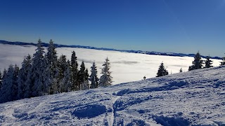 ТРОЄ ПОРОСЯТ ТУРИСТИЧНА БАЗА ВІДПОЧИНКУ ПП