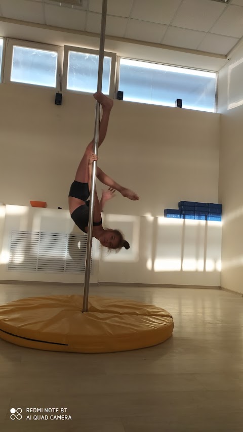 studiya tantsev "Pole Fly"