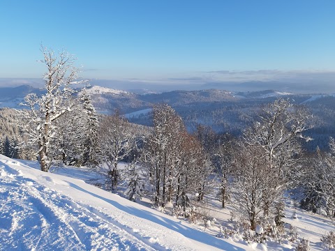 Буковель