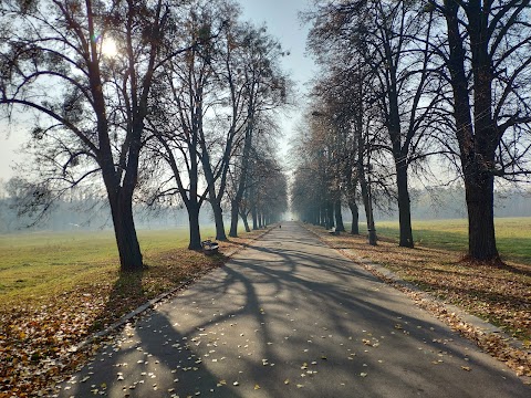 Колишній Зелений театр