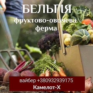 Агенцiя з працевлаштування за кордоном "КАМЕЛОТ-Х"