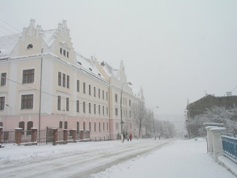 Чортківський інститут підприємництва і бізнесу Тернопільської академії народного господарства