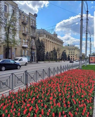 Нотариус Евдокименко Элеонора Константиновна