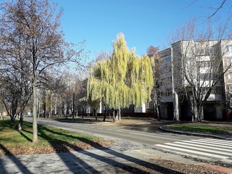 CITI КАВА