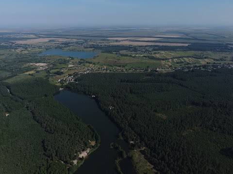 Фестиваль Тверезі люди