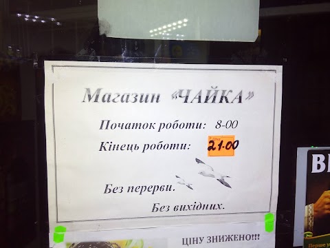 Чайка