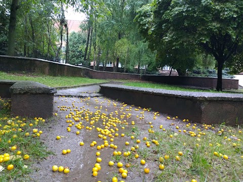 Комунальне некомерційне підприємство "Центр первинної медико-санітарної допомоги "Ювілейний" Рівненської міської ради