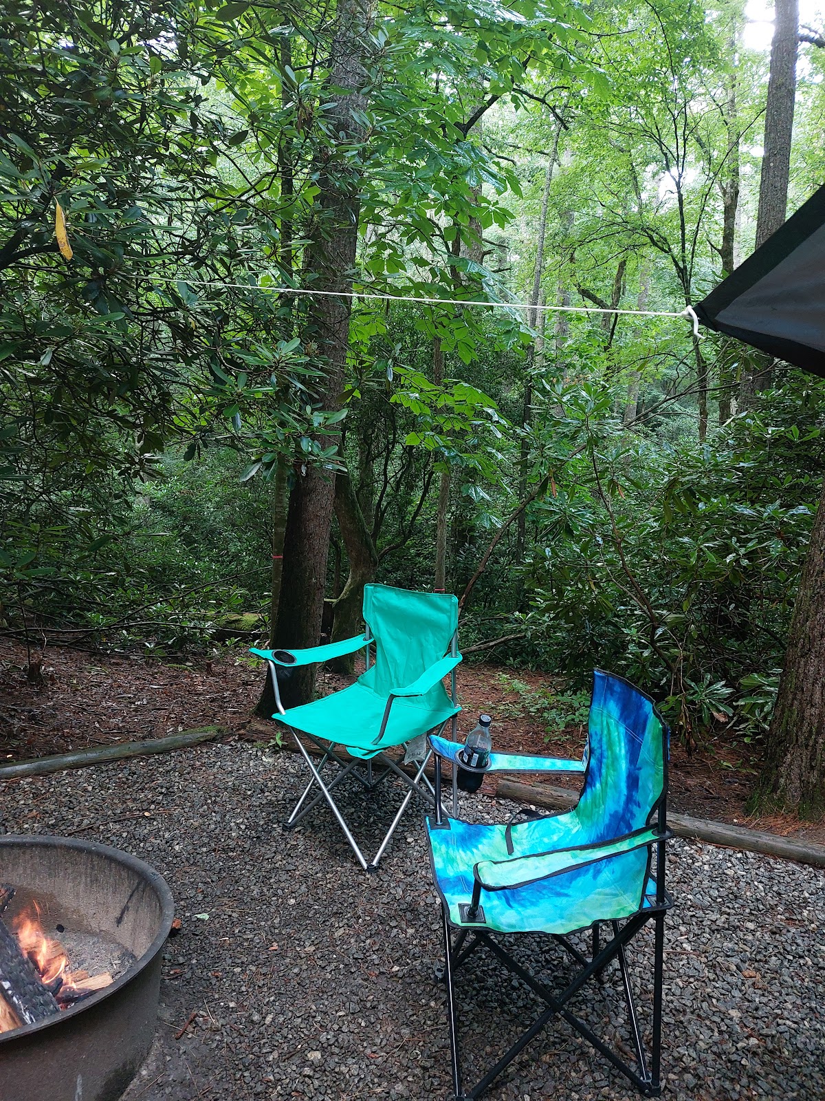 Nantahala/Van Hook Glade