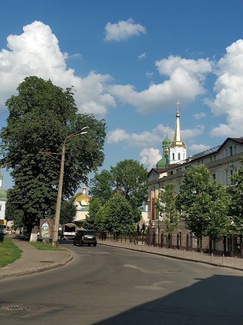 Goethe-Institut в Україні