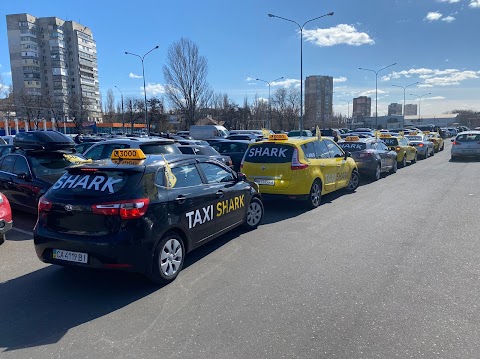 Такси «Шарк» Мелитополь