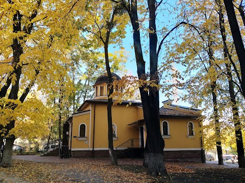 Національний інститут фтизіатрії і пульмонології ім. Ф.Г. Яновського НАМН України