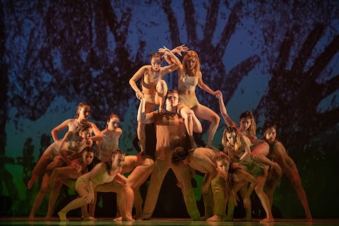 Потоки Театр-школа сучасного танцю Олени Будницької
