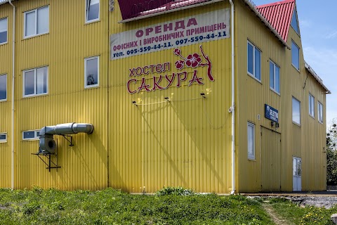 хостел Сакура