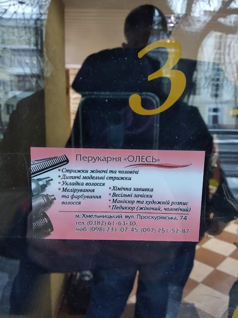 Олесь