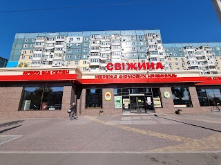 Свіжина