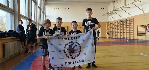 Fight Team Falcon [MMA]