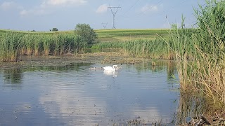 Чаруків-Відпочинок (бесідка)