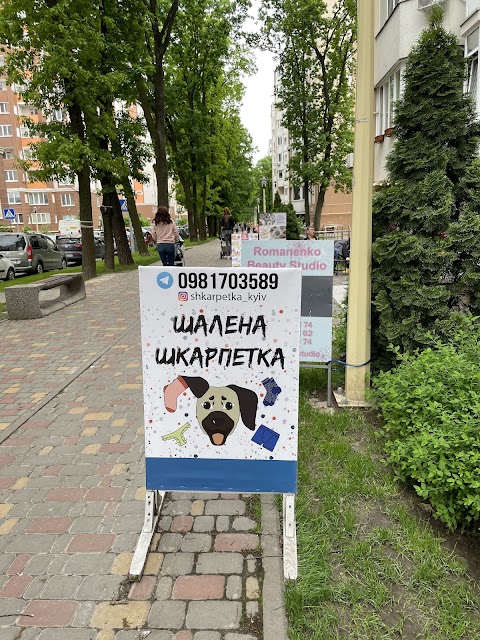 Шалена Шкарпетка