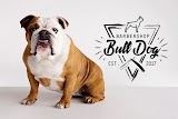 Barbershop "Bulldog"