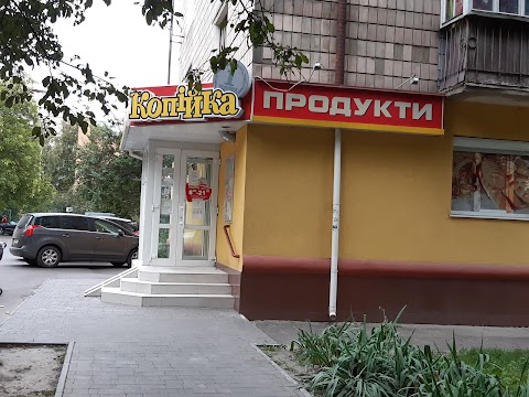 Копійка