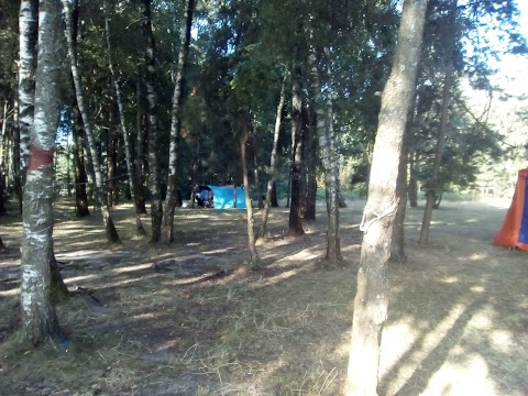 Camping