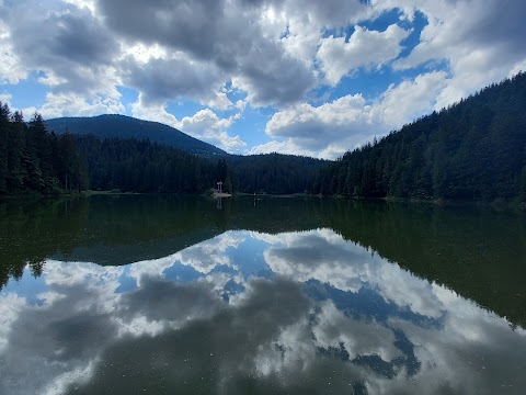 Synevyr lake