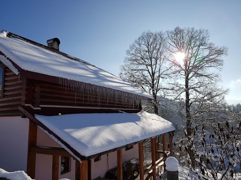 Cottage "Babusyn Dvir"