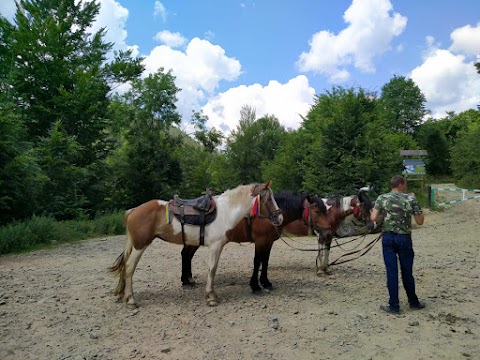 Кінні прогулянки. Верхова їзда. Horse riding