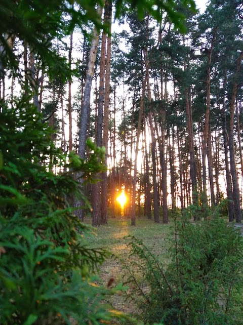 Санаторій Токарі-Бережки