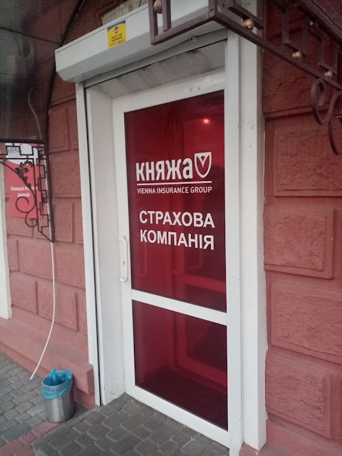 Княжа