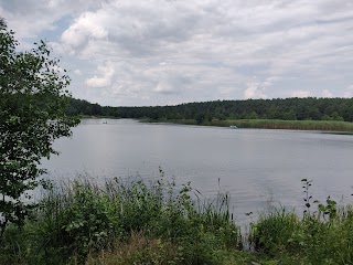 Фестиваль Тверезі люди