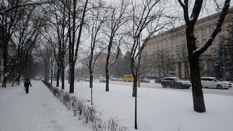 Сінево