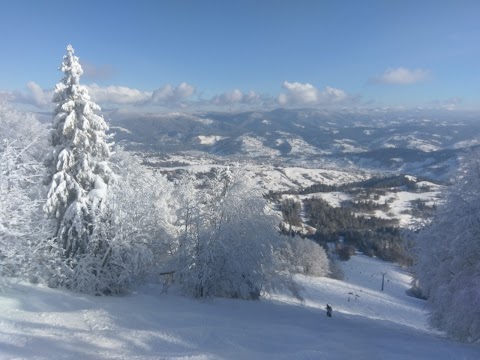 На лоні природи