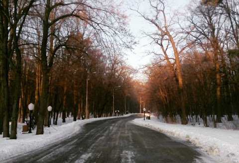 Клінічна лікарня "Феофанія