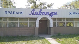 ЛАВАНДА (ПРАЧЕЧНАЯ)