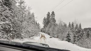 Екскурсії в гори