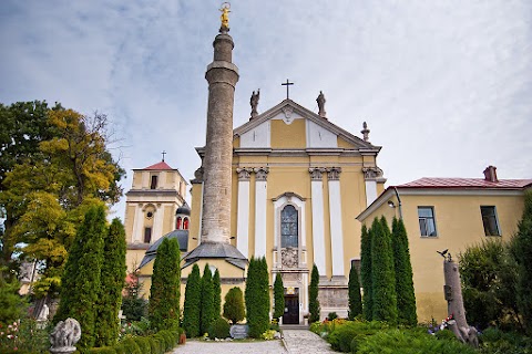 Кафедральний костел святих Апостолів Петра і Павла