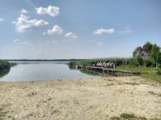 Срібні лелеки